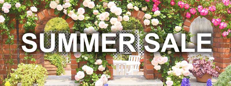 Summer