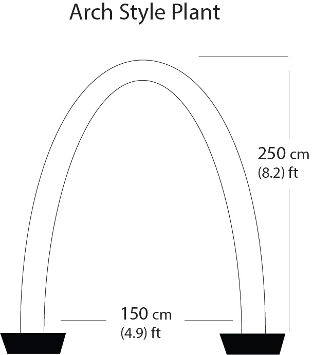 Arched Style Plant Arched Style Plant