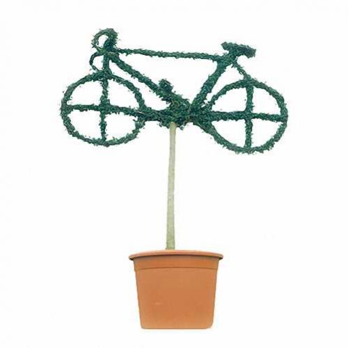 Topiary Bicycle (Ligustrum Jonandrum)