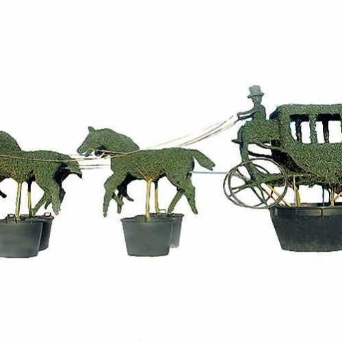 Topiary Carriage and 4 Horses (Ligustrum Jonandrum)