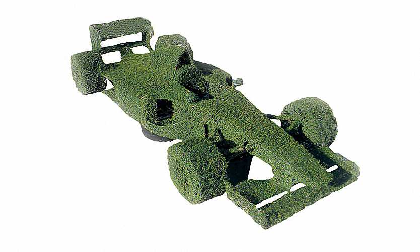 Topiary Formula 1 (Ligustrum Jonandrum)