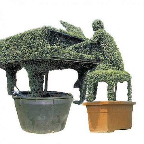 Topiary Piano With Pianist (Ligustrum Jonandrum)