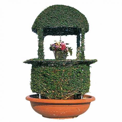 Topiary Well with Dome (Ligustrum Jonandrum)