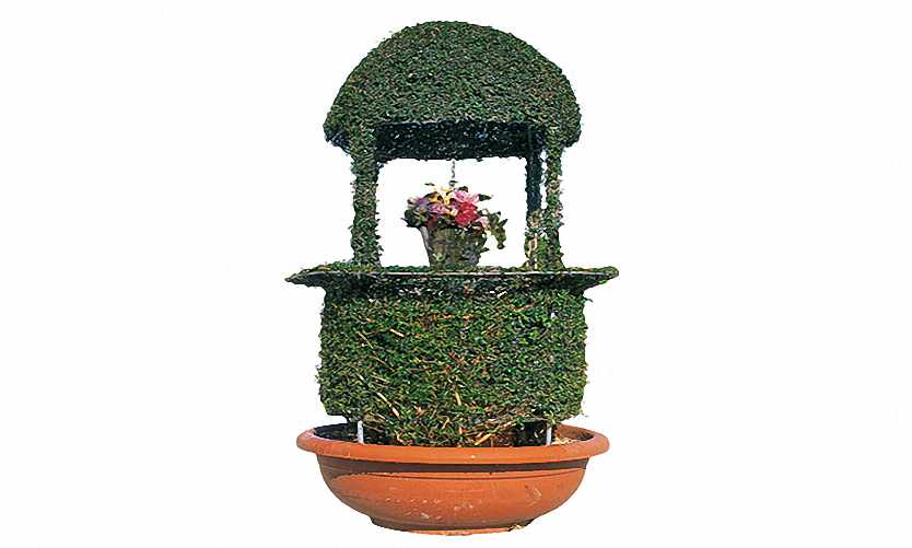 Topiary Well with Dome (Ligustrum Jonandrum)