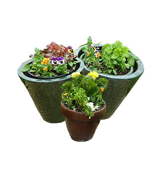 Pots for Plants