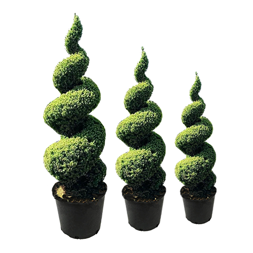 Spiral Topiary