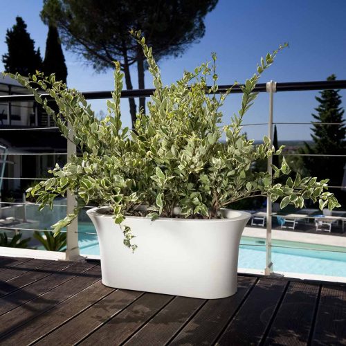 'Flos' Planter