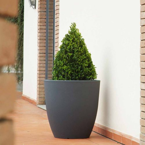 'Orione' Tall Planter