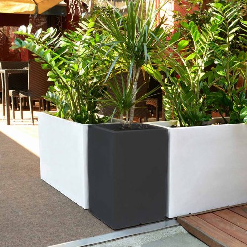 'Atlantis Light' Planter