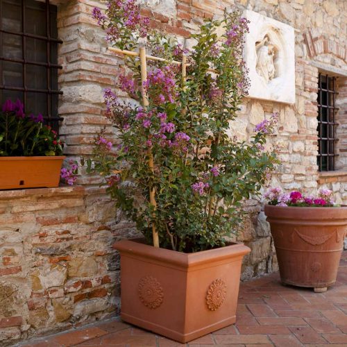 Square Planting Container