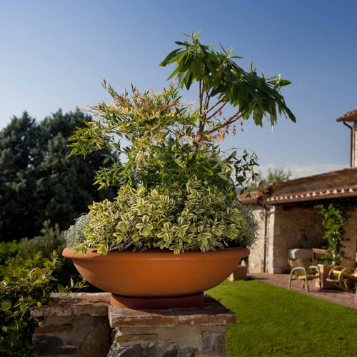 Large Planting Bowl