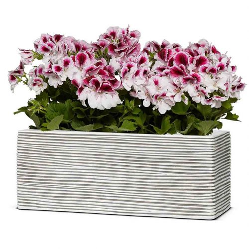 Oval Planter Rib Indoor