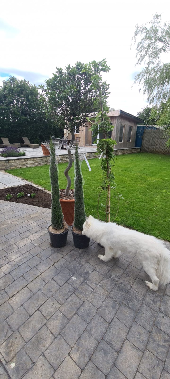 Christopher Duck Garden Plants Online