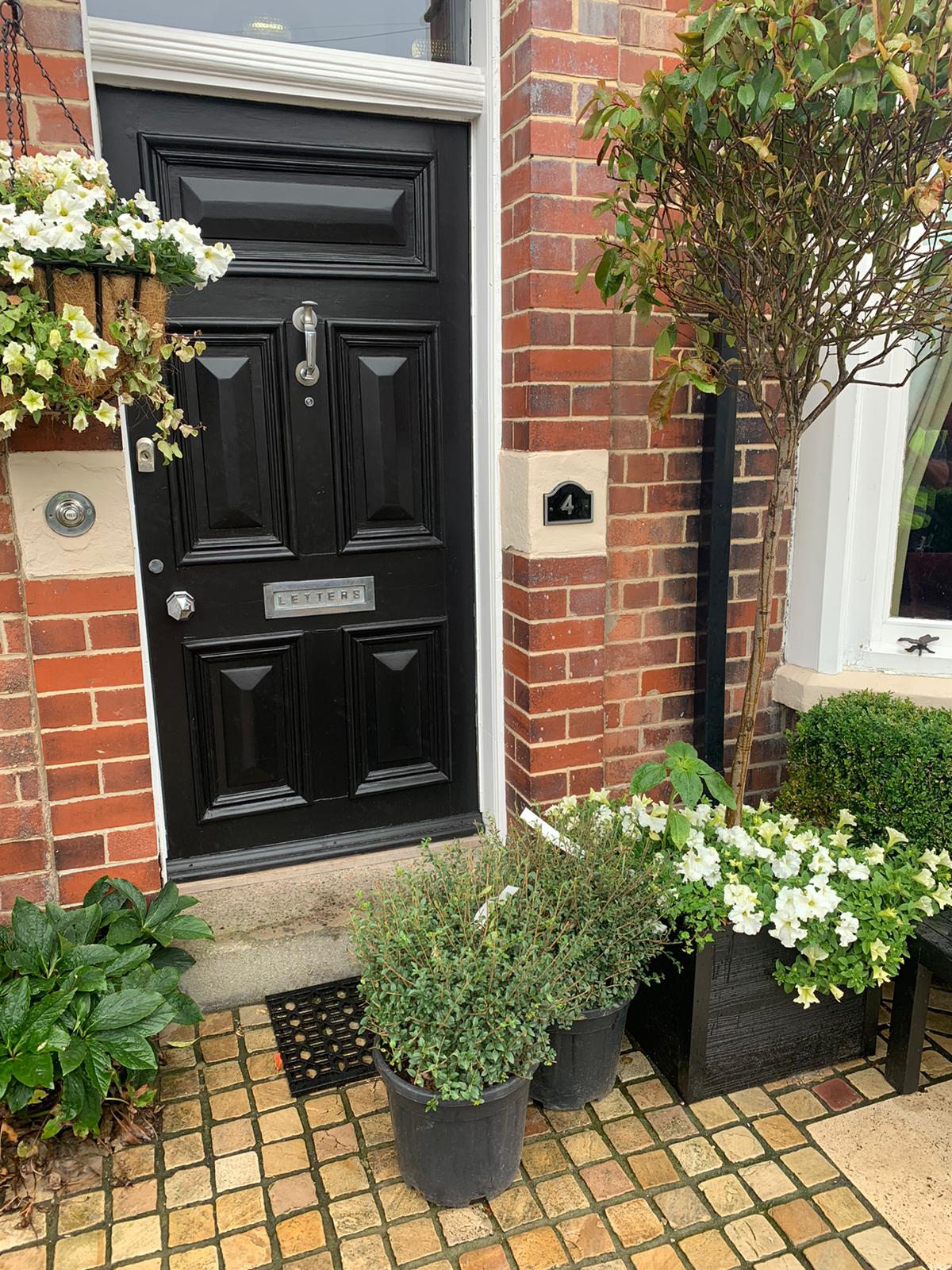 Diane FisherNaylor Garden Plants Online