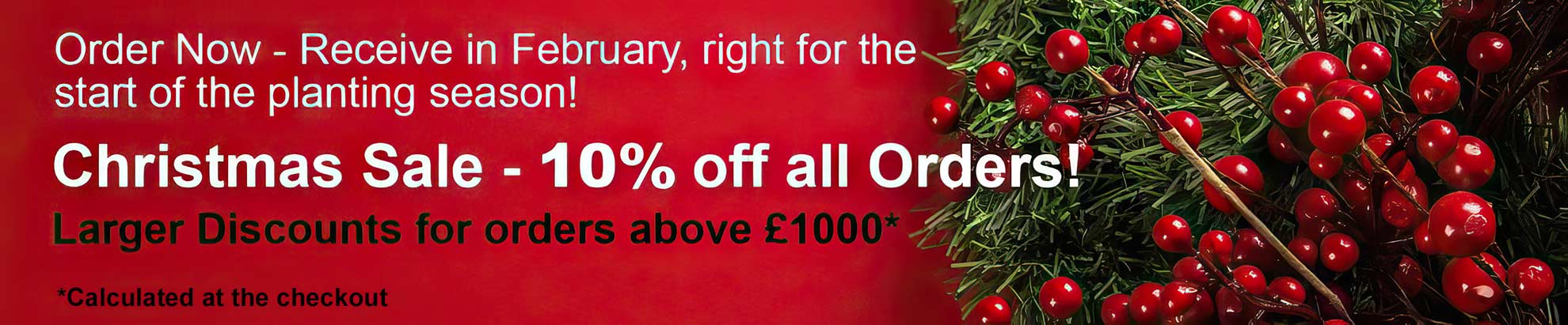 Garden Plants Online Christmas Sale - 10% off all Orders! Larger Discounts - order over £1000. Garden Plants Online Christmas Sale - 10% off all Orders! Larger Discounts - order over £1000.