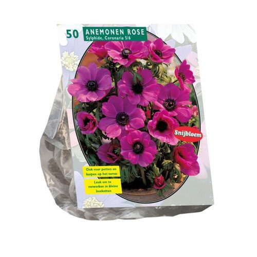 Anemone Sylphide pack of 50