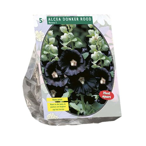 Alcea Deep Red pack of 5