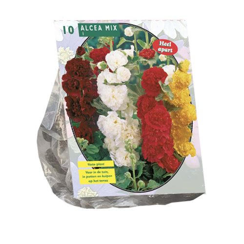 Alcea Mix pack of 10