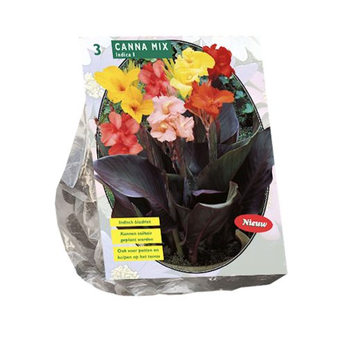 Canna Mix pack of 3