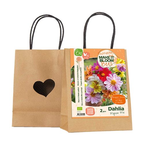 Make it Bloom – Dahlia Mignon Mix pack