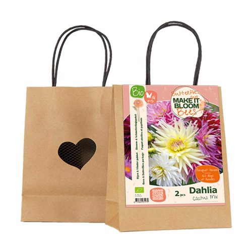 Make it Bloom – Dahlia Cactus Mix pack of 2