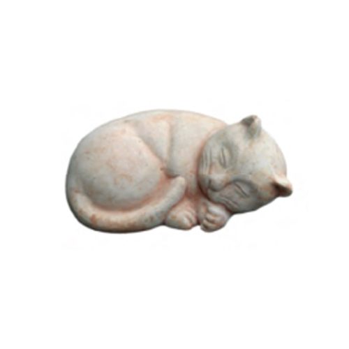 Sleeping Kitten
