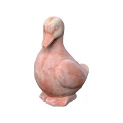 Frowning Duck