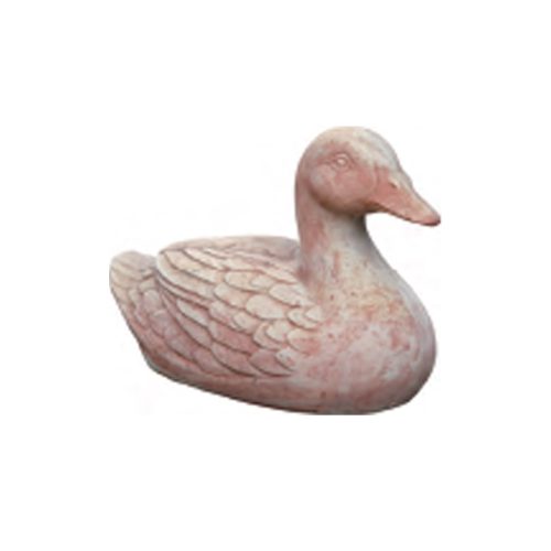 Sitting Duck