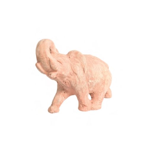 Baby Elephant