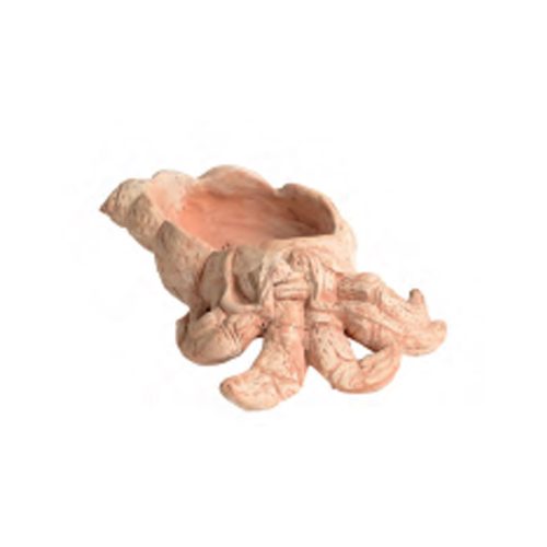 Hermit Crab