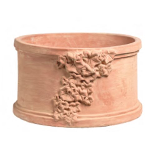 Ivy Pot