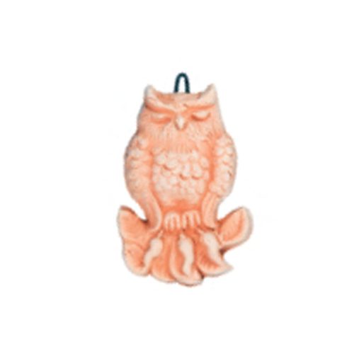 Sans Souci Owl