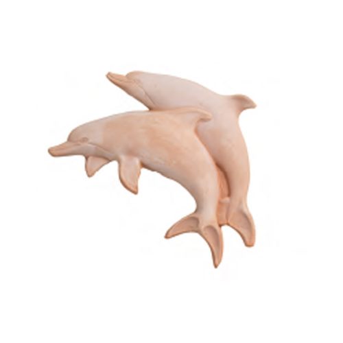 Dolphins
