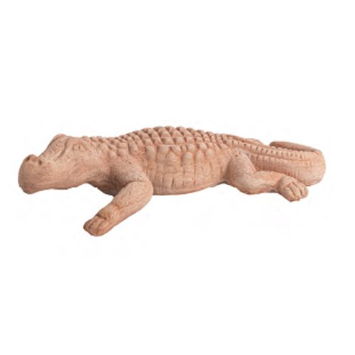 Crocodile