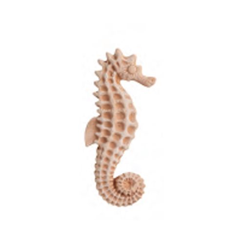 Small Seahorse