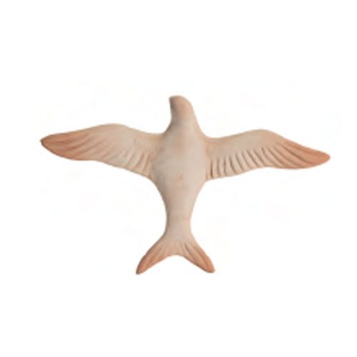 Swallow