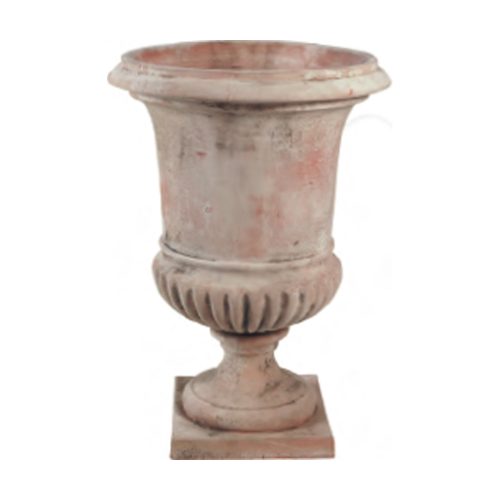 Olympus Cup