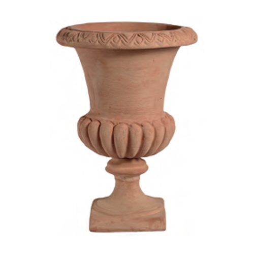 Mediceo Cup