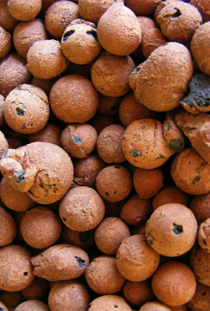 Large Clay Pebbles, 8-14, Ornamental Pebbles, Pebbles for Garden