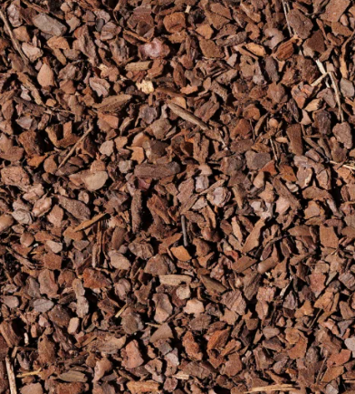 pine minis pine minis