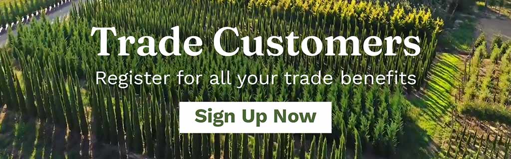trade-customers-main-right-side