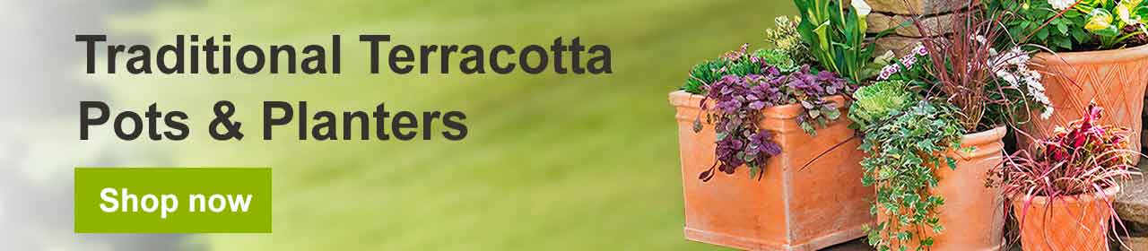Traditional terracotta pots and planters