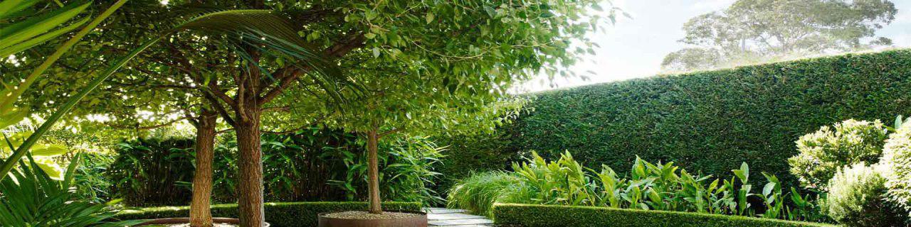 Find Landscape Professionals around You Find Landscape Professionals around You